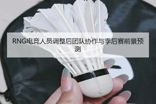 RNG电竞人员调整后团队协作与季后赛前景预测